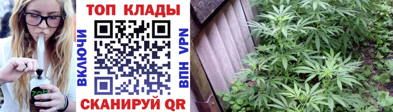 Купить наркотик аптеки Советск A-PVP ГАШ Псилоцибиновые грибы МЕТАДОН Амфетамин КОКАИН