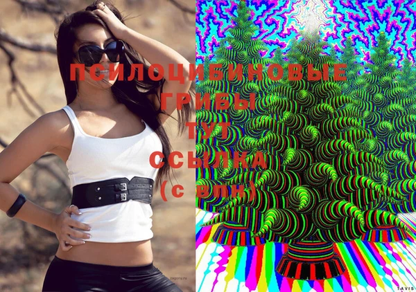 МДПВ Балабаново