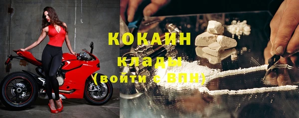 ешки Арсеньев