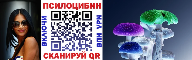 Псилоцибиновые грибы Psilocybine cubensis  Советск 